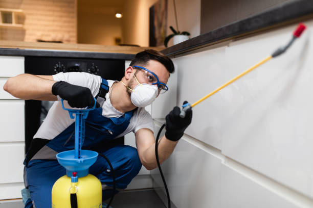 Best Flea Control Services  in Atlantic Highlands, NJ
