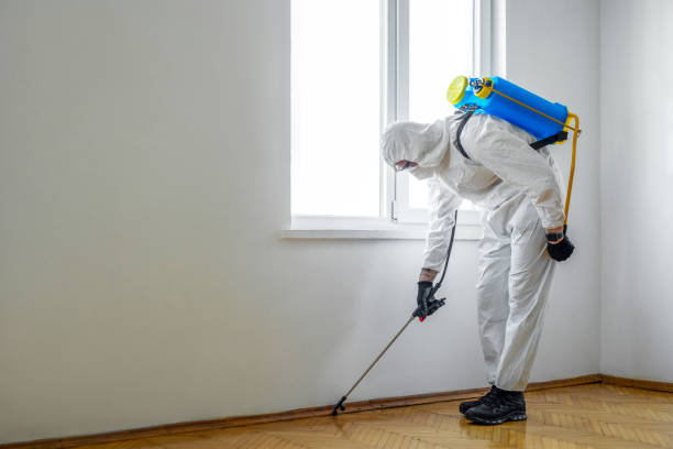 Best Pest Inspection Near Me  in Atlantic Highlands, NJ